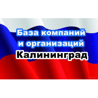 ✅ База Компаний и Организаций Калининград