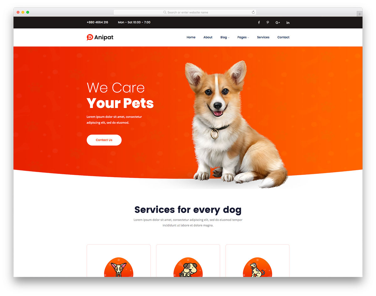 Anipat шаблон сайта услуг по уходу за животными