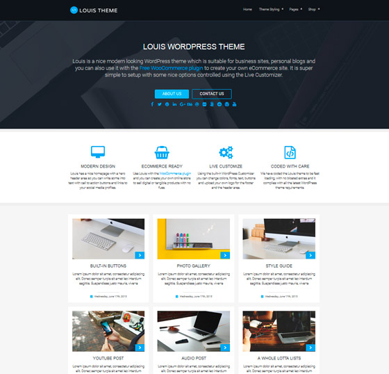 Louis шаблон для WordPress