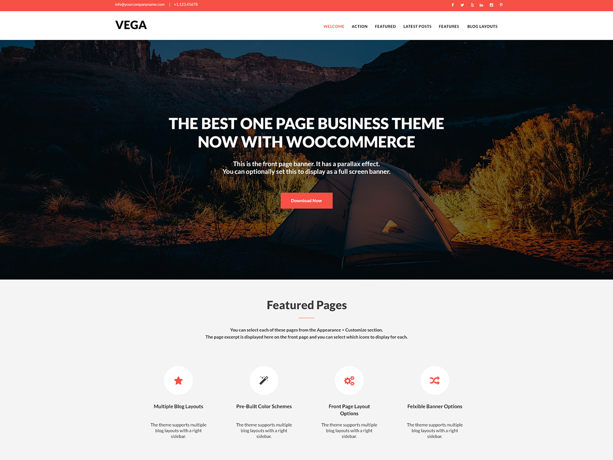 Vega шаблон для WordPress